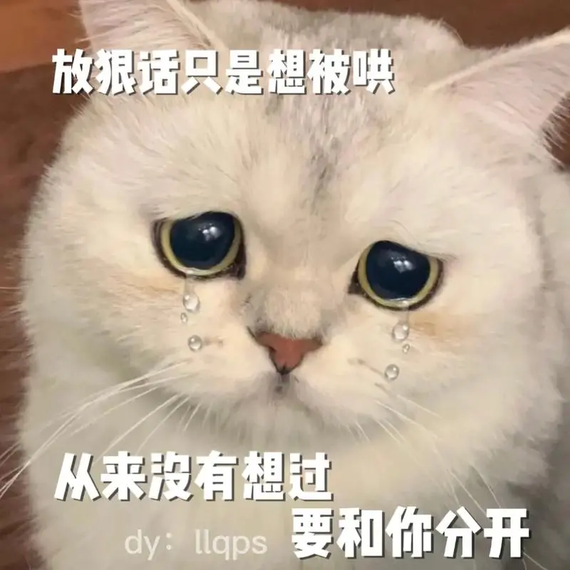 我只是舍不得罢了你千万别顺我的意#猫咪表情包#可爱表情-抖音