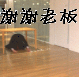 谢谢老板跪谢下跪gif动图_动态图_表情包下载_soogif
