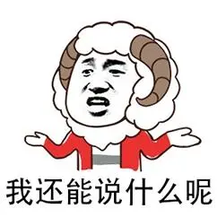 bibi-表情包-我还能说什么呢.jpg