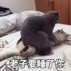 我要睡了你表情包-我要睡了你微信表情包-我要睡了你qq表情包