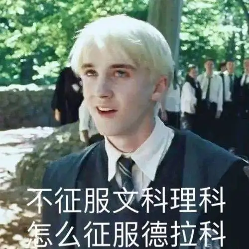 德拉科马尔福#怎么办都0202年了我还对拽哥念念不忘[tv_doge]浏览