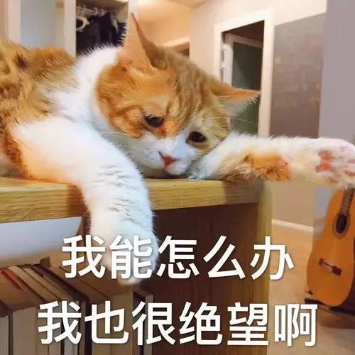 原创|总统情史折射的法国社会的价值观——三个