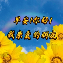 gif动图模板搞怪土味早安你好动态表情包