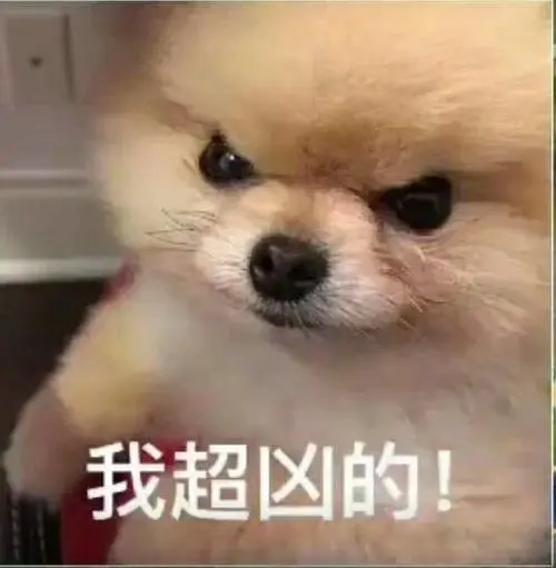 去,咬死狗管理表情包-表情图