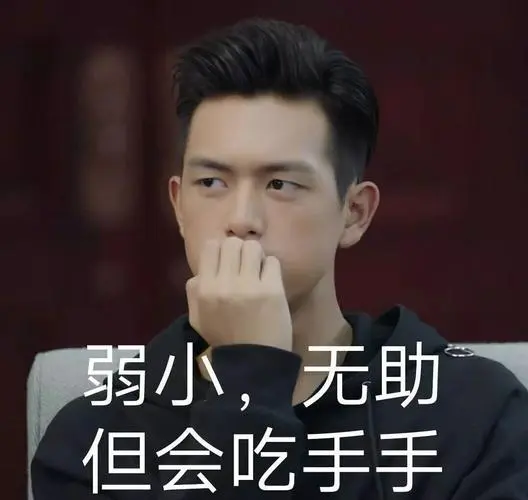 弱小无助但会吃手手(李现)-《亲爱的热爱的》韩商言李现表情包