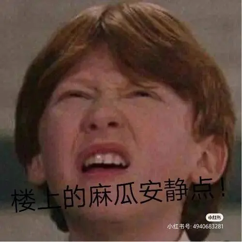 哈利波特表情包