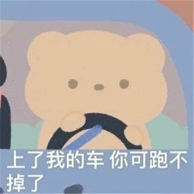 2021害羞又很可爱的表情包上了我的车你可跑不掉了