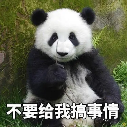 大熊猫超萌表情包