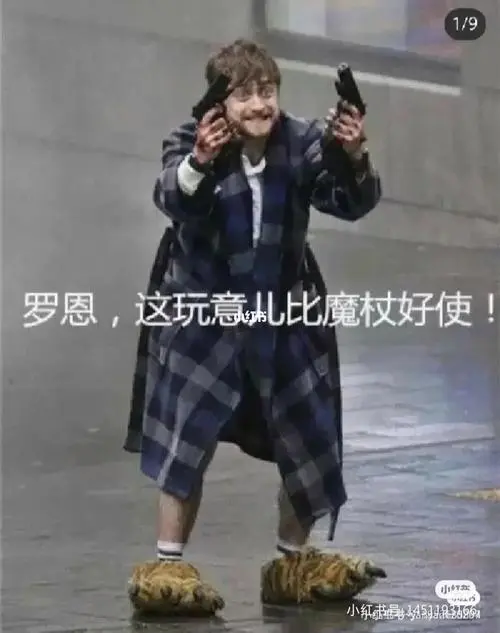 哈利波特表情包