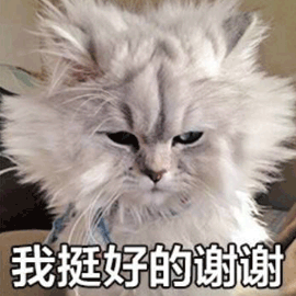 萌宠喵星人挺好的谢谢猫搞怪可爱gif动图_动态图_表情包下载_soogif
