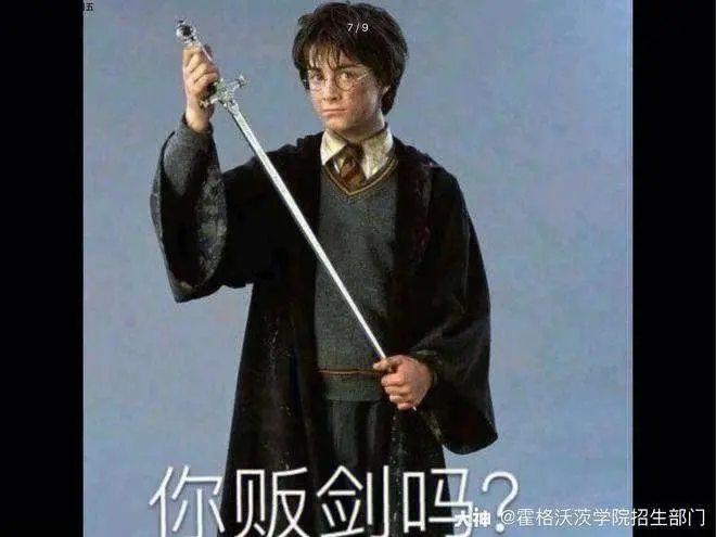 哈利波特表情包42