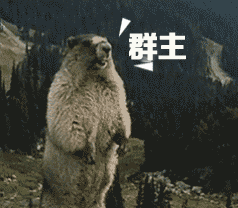 群主-土拨鼠呐喊表情包_斗图_动图_呐喊_土拨鼠表情