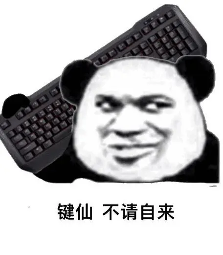 (疯狂敲键盘)脏话输出(键盘表情包)是键盘自己在打字(熊猫头表情包)