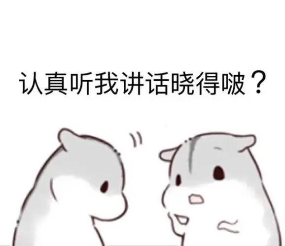 仓鼠表情
