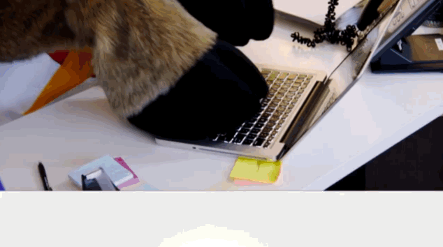山羊魔性打字goatgif动图_动态图_表情包下载_soogif
