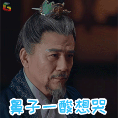 琅琊榜2鼻子一酸想哭soogifsoogif出品