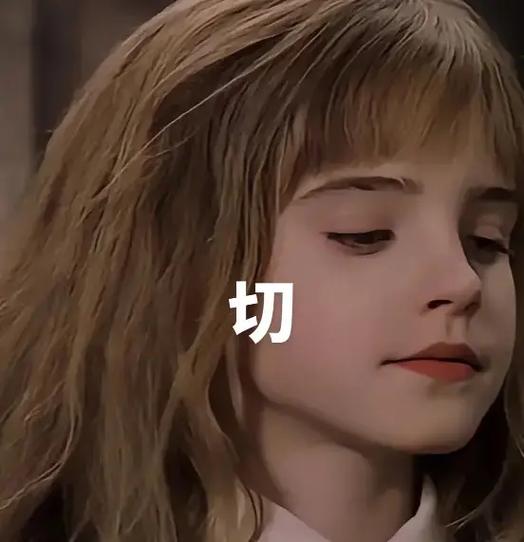哈利波特表情包#哈迷聚众地#哈利波特#啥子时候火起来-抖音