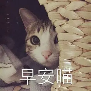 早安表情包合集史上最全版