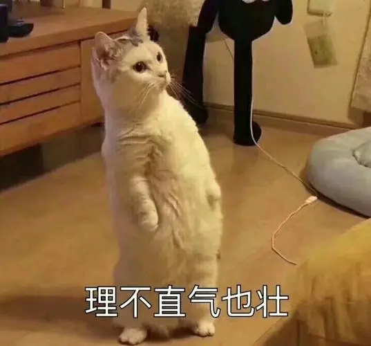 对不起,我错了,下次还敢!