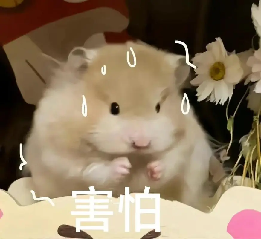 鼠鼠:害怕!#表情包#发给对象表情包-抖音