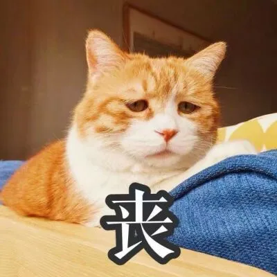无奈摊手表情包