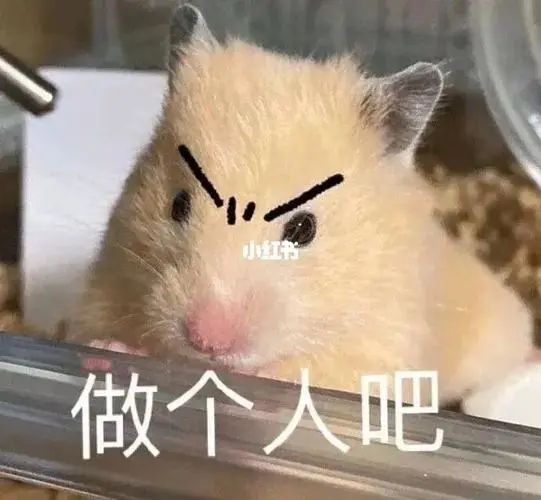 可爱表情包～做个人吧059892