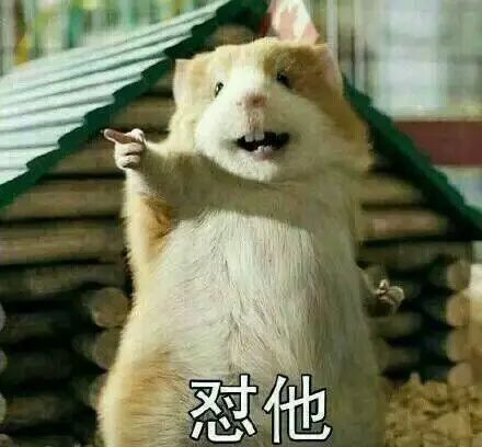 怼他-斗图表情包-斗图神器-adoutu.com