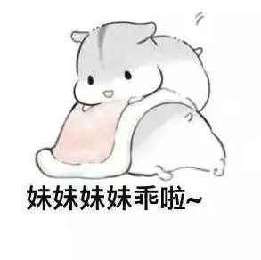 仓鼠兄妹日常表情包无水印版