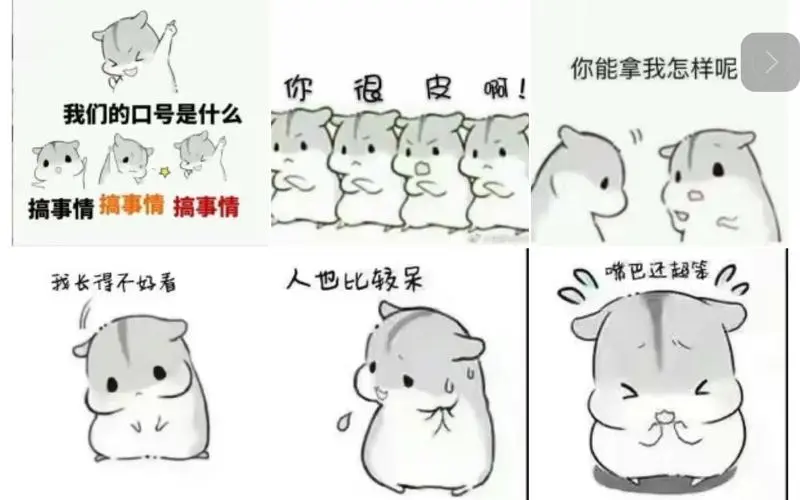 那些年喜欢的小仓鼠表情包2018·回忆满满～「2」