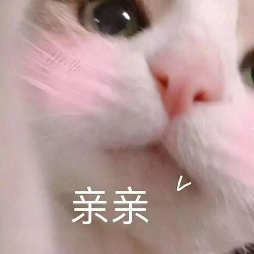 热门表情包原图精选(180个表情)-2019/03/26