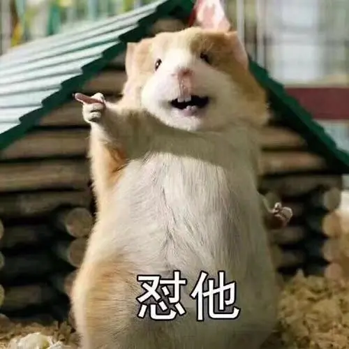[闲聊]仓鼠系列表情脚本