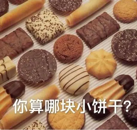 你算哪块小饼干你算个什么东西怼人表情表情