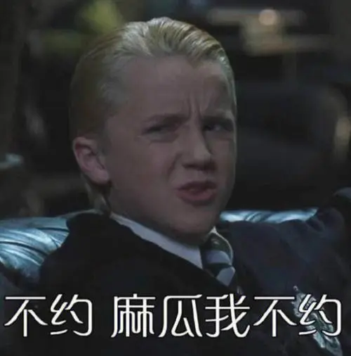哈利波特表情包6