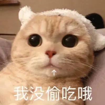 可爱猫表情包橘猫橘猫沙梨sally赞评论1更多所有评论你也来说些什么吧