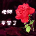 小凤龙