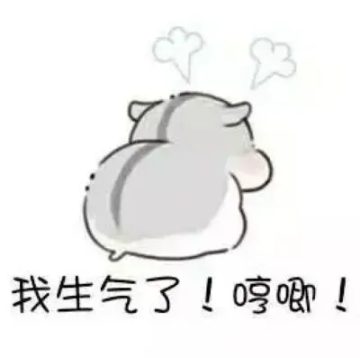 小仓鼠表情包我生气了
