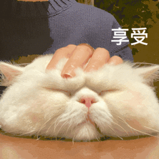 猫咪扶墙图片_猫咪扶墙动态图_猫咪扶墙表情包gif动图下载_soogif