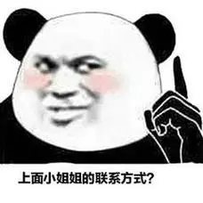 (熊猫头表情包)_小姐姐_联系方式_熊猫_上面表情