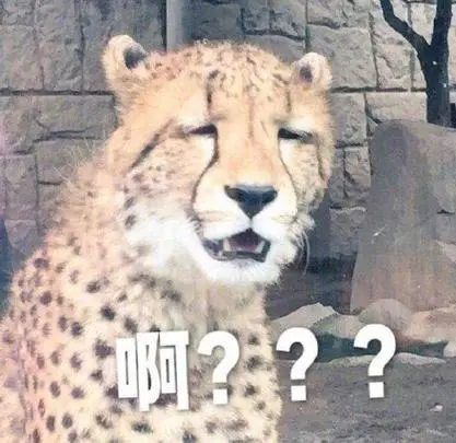 我才懒得出去见到人就烦今日份热门表情包精选20171002斗图表情