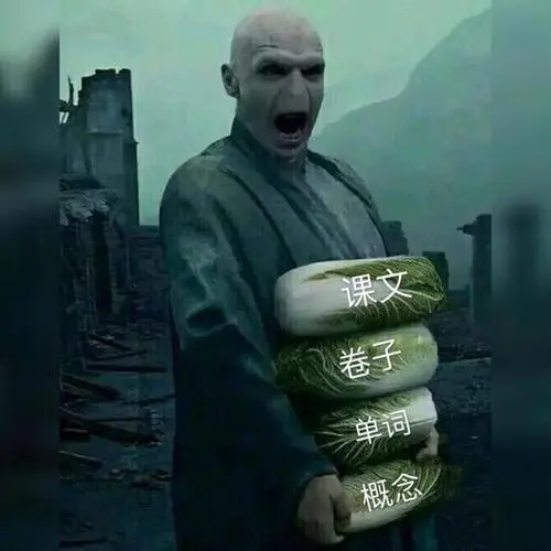 伏地魔和哈利的终极对决,阿瓦达索命vs除你武器,让人觉得哈利有点不