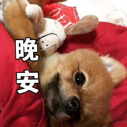 晚安早睡gif动图_动态图_表情包下载_soogif