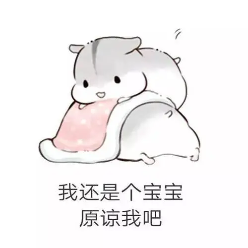 仓鼠套路表情包男朋友生气了该怎么哄