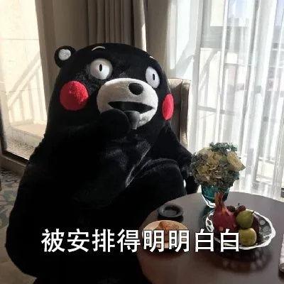 熊本熊表情包