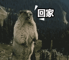 回家土拨鼠呐喊动图动图土拨鼠呐喊回家表情