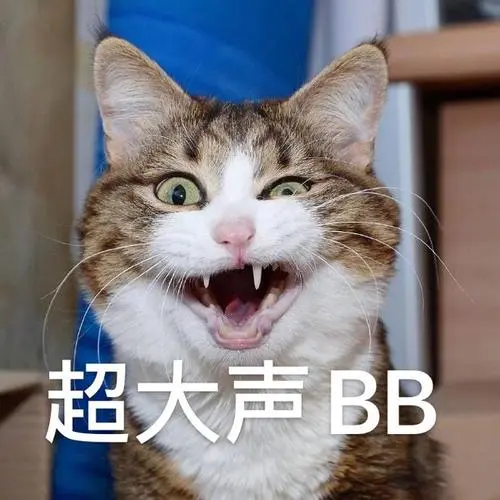 老板本人则大声回应: