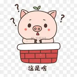 小猪这是啥表情包