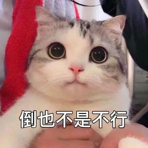 分享一组万能表情包合集