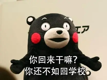 熊本熊:我可能是回了假家67_熊本熊_卡通表情包-发表情fa