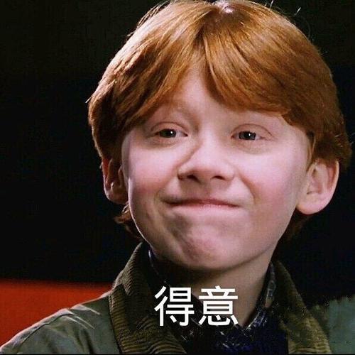 哈利波特表情包