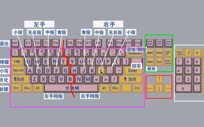 零基础快速学拼音学五笔打字教程,键盘打字快速入门
